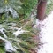 雪だ!