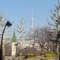 �ߤ��餫�ʤ��ߺפ�