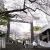 伊勢山皇大神宮の桜