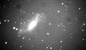 【超新星ハンター】板垣さん、きりん座の銀河に超新星発見、134個目