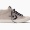 Converse Spring/Summer 2013 Star Player S II Mid