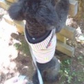 �������ѡ���-���ƥ�Фݤ�-