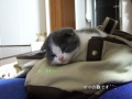 ���Υ٥åɤ���ʤ��莥����