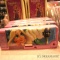 Tangled����ξ�Υ�ץ�ĥ���ˤΥҥ�����Princess Rapunzel
