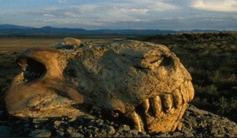 地球誕生以来この地球上の生物は5回絶滅してるらしいんだが