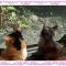 ゆくとしくるとし