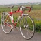 Lemond Poprad disc フェンダー・電装