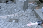 美人猫vs美女