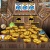 アプリCoin Piratesで時間つぶし