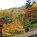 紅葉狩り