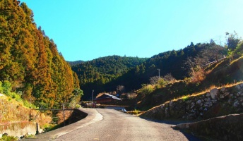 山奥に１４人で住んでるニートだけど質問ある？