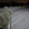 雪の冬