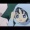 ��2010/07/11�ۥƥ�ī���å�������