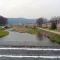 しののめ周辺お花見情報♪ その2 〜お散歩がてら京都観光編〜