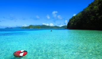 パラオの海で起きたちょっといい話!旅先でおっさんに泣かされたんだが・・・(画像あり)