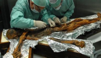 アイスマンの5300年前の最後の晩餐が明らかに ヤギの脂肪と野生のシカ肉、古代の穀物とシダ類 栄養満点だが味は?