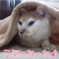 ��ǯ�Τ��������ޤ��Ǥ���^^;