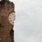 【画像】イタリアの地震で日本の建築技術を見直した