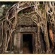 カンボジア07 タ・プロームのねっこ編 旅立ちから73日目6