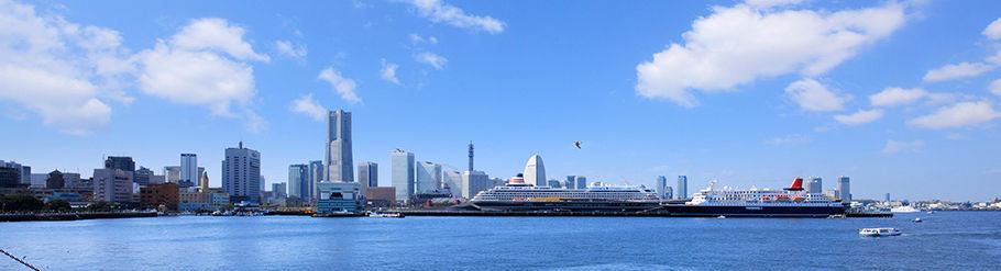 日本語教師・うさぎ団のブログ イメージ画像