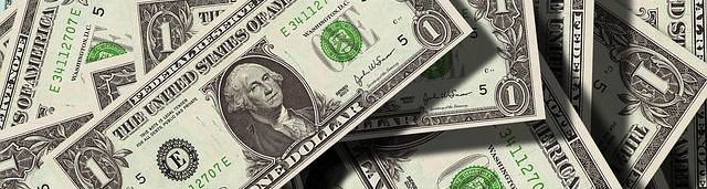 『なんとなく投資』イヌ科のタヌキが米国株を100万円買ってみた イメージ画像