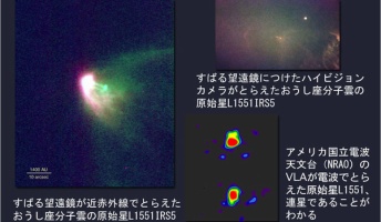 発見されてる中で宇宙最大の星 L1551-IRS5 直径148億40,000,000km