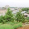 帰りは花見 お土産もあり