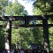 �֤��������ȵܤ�ι�����Σ�