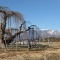 【八ヶ岳観光動画】冬の陽だまりと大イトザクラ（北杜市小淵沢町）