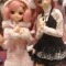 ドルパ２４に参加してきました！！