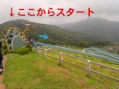 mushimushi9