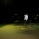 THE REFLASH test