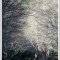 真冬の並木道