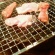 亀戸ホルモン 恵比寿店