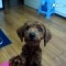 �ޥޡ��Ȥ���٤븤���İ���