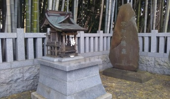 【昭和の怪奇事件】千葉県屈指の怪奇スポット「八幡の藪知らず」にニセモノが存在していた