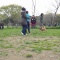 水元公園ドッグラン
