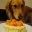 6�Фˤʤ�ޤ�����