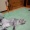 久々の更新です。