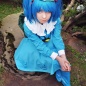 東方Projectはフランスでも人気あるのか…