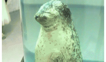 このgifフフってなるwwwwwwwwwwwwwww