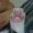 新たな仲間たち～