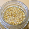 海老のプレーンヨーグルトマヨ＆いただきものの「粒マスタードが美味しかった」件
