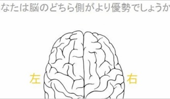 このクイズ分かる人は右脳を使う感性豊かなタイプらしい