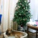 �٥åɸ��ס�