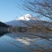 例年、河口湖では桜の見頃はいつですか?