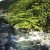 山梨県 奥山温泉の新緑