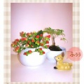 ☆The Bonsai☆