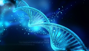 超人類と旧人類の争い 遺作でゲノム編集を選択した裕福な人類が生存競争の覇者になると予測!【ホーキング博士】