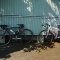 �餷�ޤʤ߳�ƻ�饤��(���λҡ����100kmĶ)��